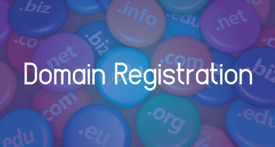 Domain Registration